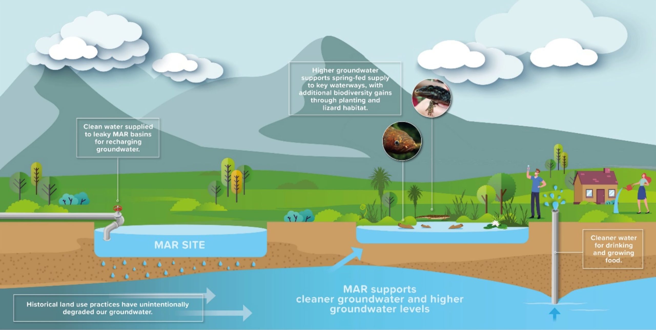 Managed Aquifer Recharge diagram